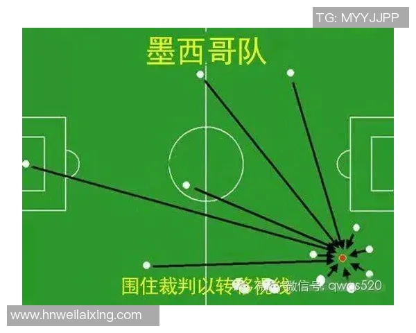 南京篮球队在世界杯中的战术表现分析与点评探讨